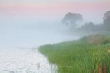 Foggy Otter Creek_17266